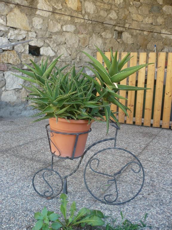 Appartamento Michela Brenzone sul Garda Rom bilde