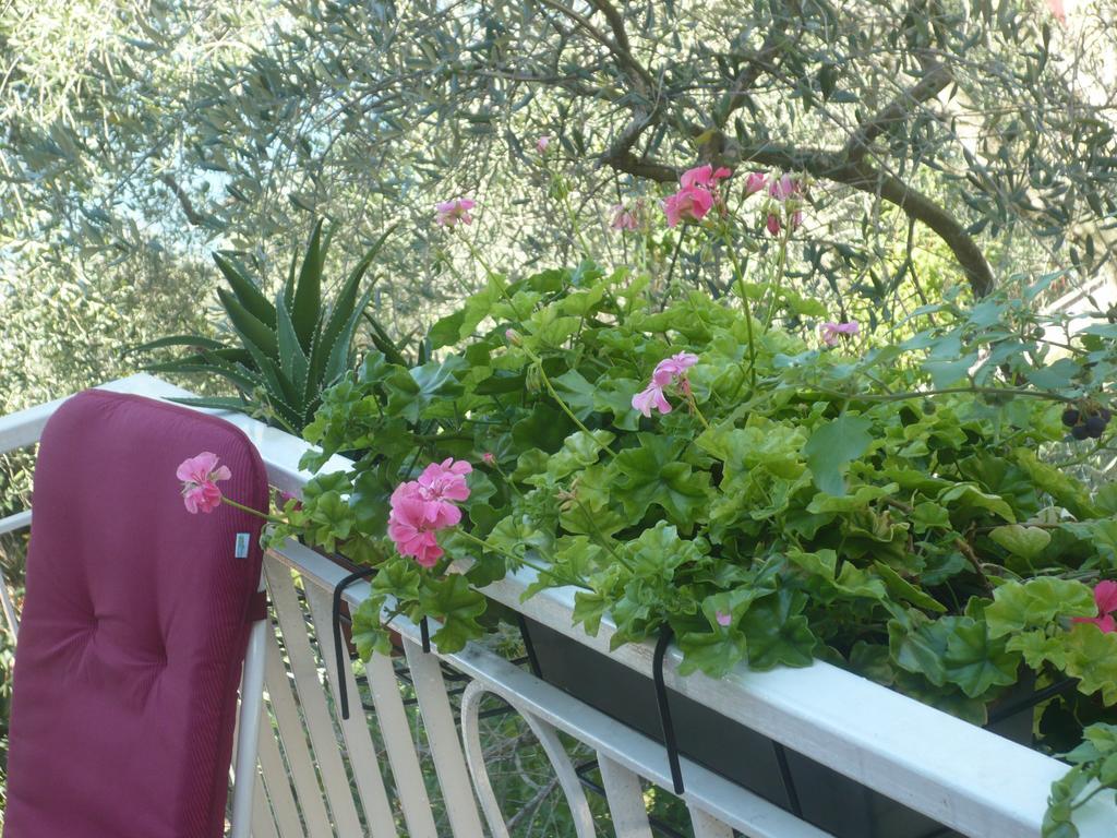 Appartamento Michela Brenzone sul Garda Rom bilde